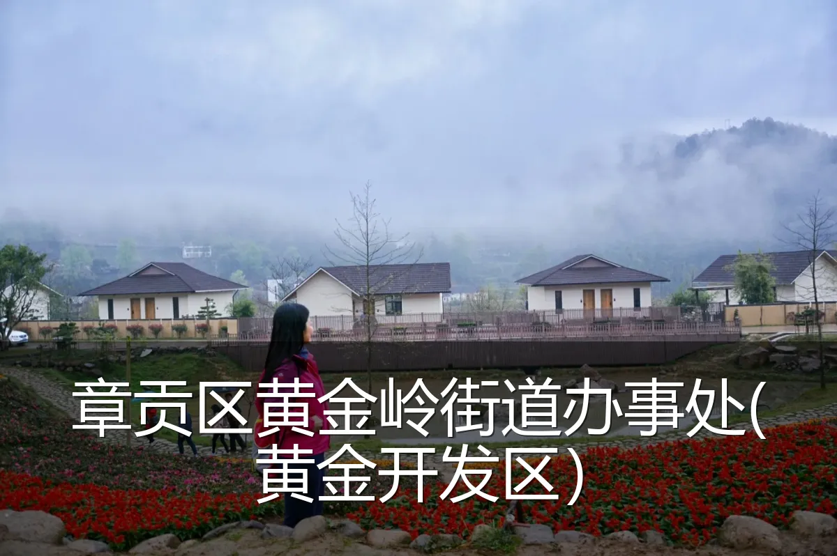 章贡区黄金岭街道办事处(黄金开发区）